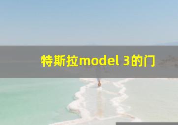 特斯拉model 3的门